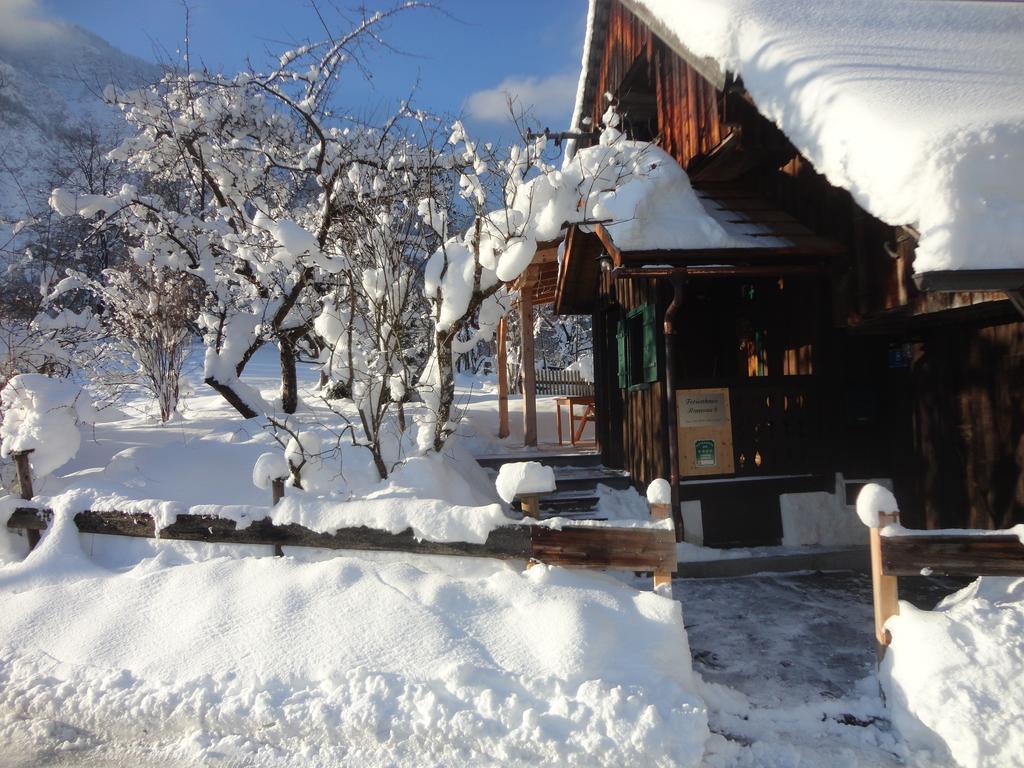 Ferienhaus Ramsau 8 Bad Goisern am Hallstättersee Exterior foto